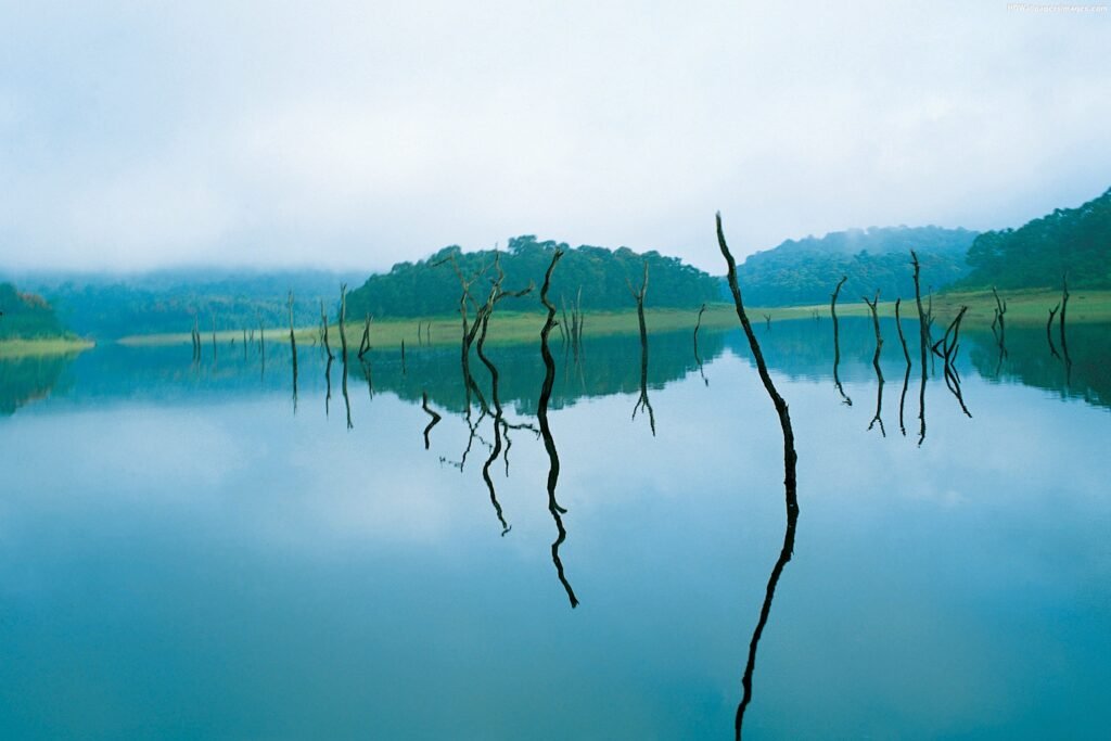 475831371Thekkady-Images